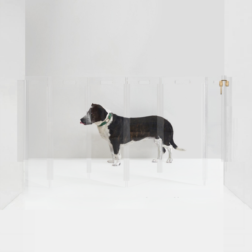 Wall Mount Zig Zag Gate (Tall)
