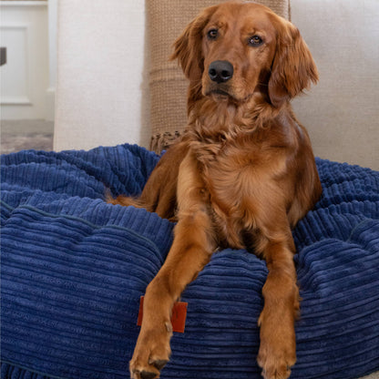50 Inch Forever Dog Bed (Waterproof) - Terry Corduroy