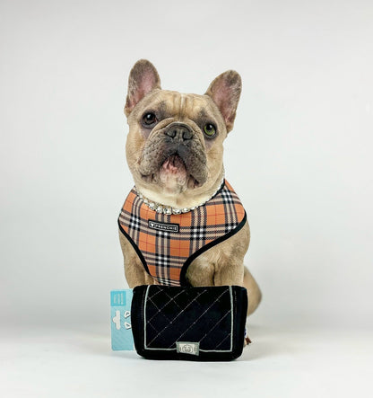 CHEWNEL PLUSH DOG TOY