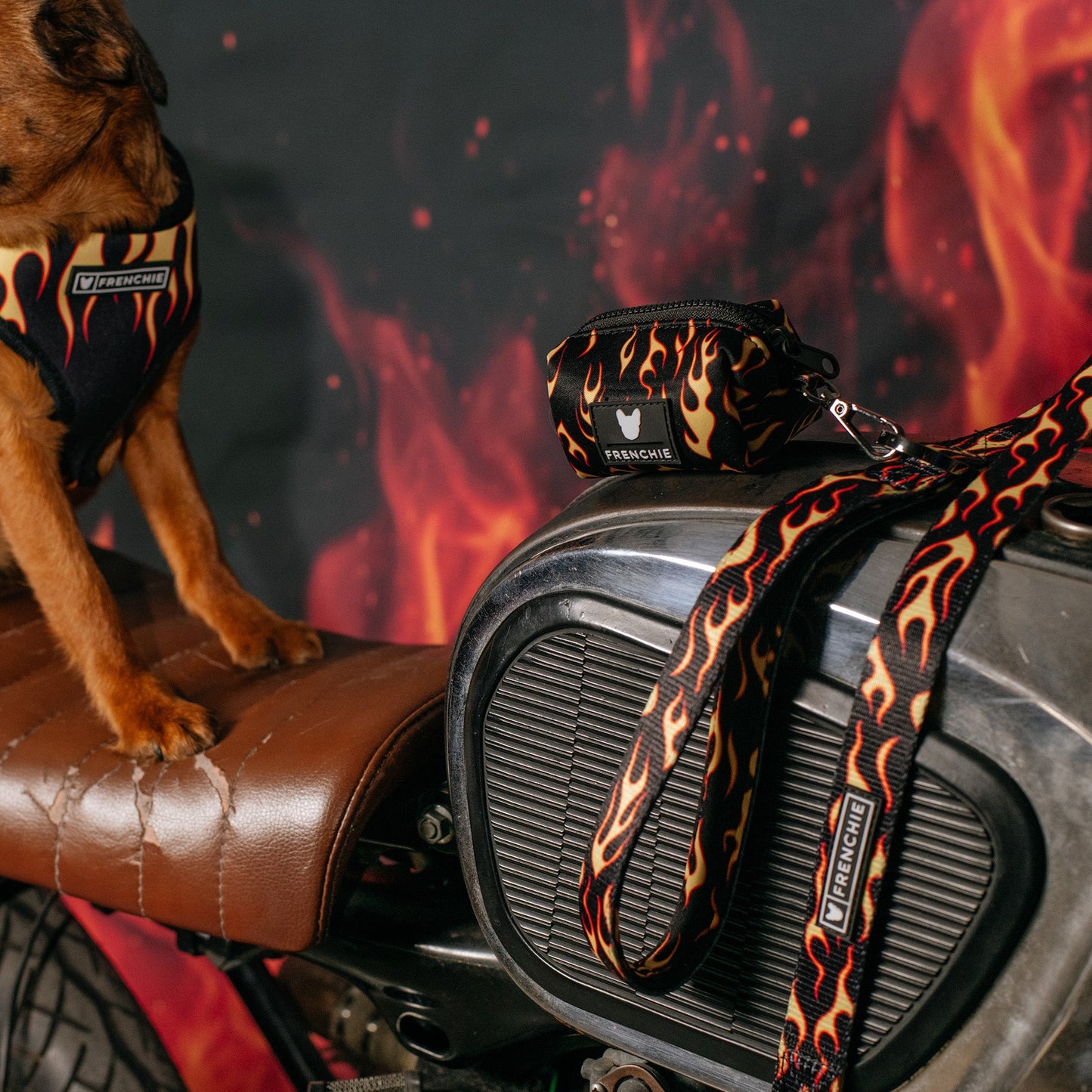 Frenchie Poo Bag Holder - Flames (Orange)