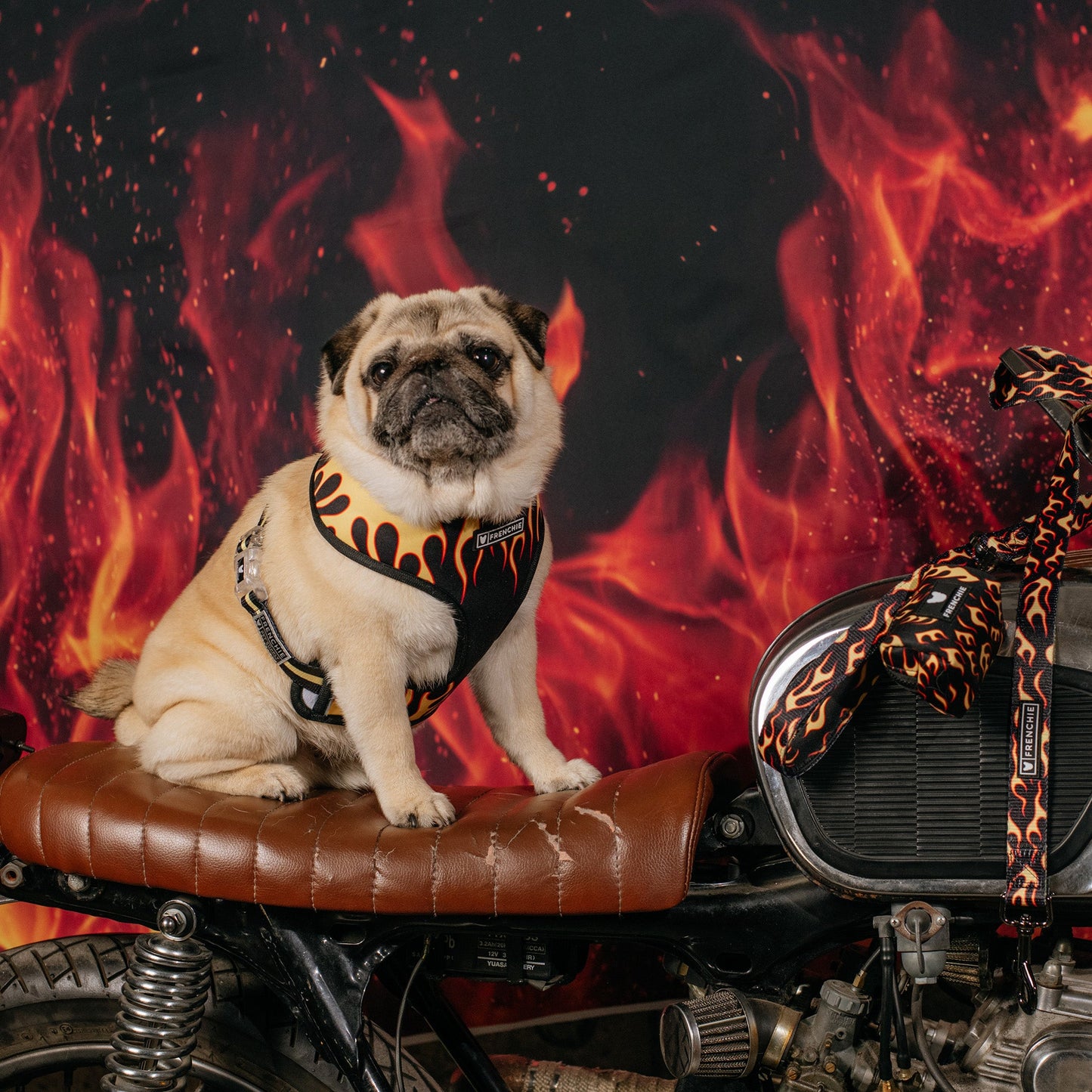 Frenchie Duo Reversible Harness - Flames (Orange)