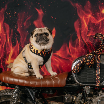 Frenchie Duo Reversible Harness - Flames (Orange)