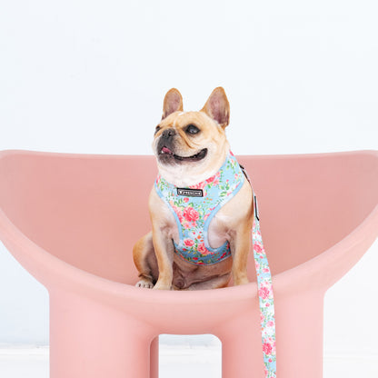 Frenchie Duo Reversible Harness - Secret Garden