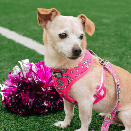 Frenchie Duo Reversible Harness - Spirit Paws