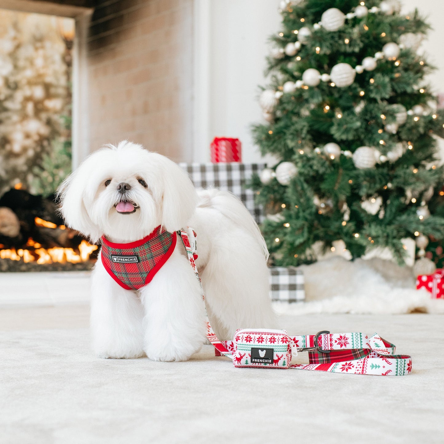 Frenchie Duo Reversible Harness - 'Tis The Season