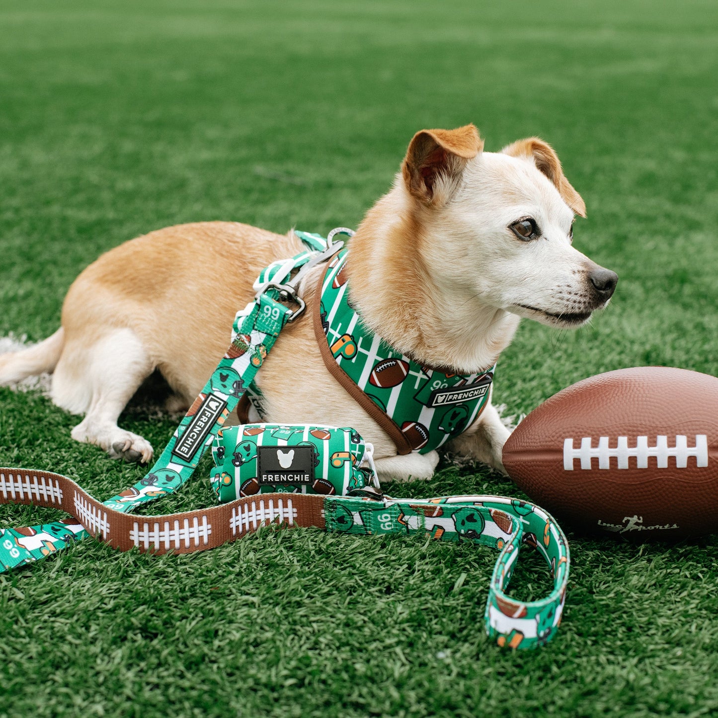 Frenchie Poo Bag Holder - Touchdown