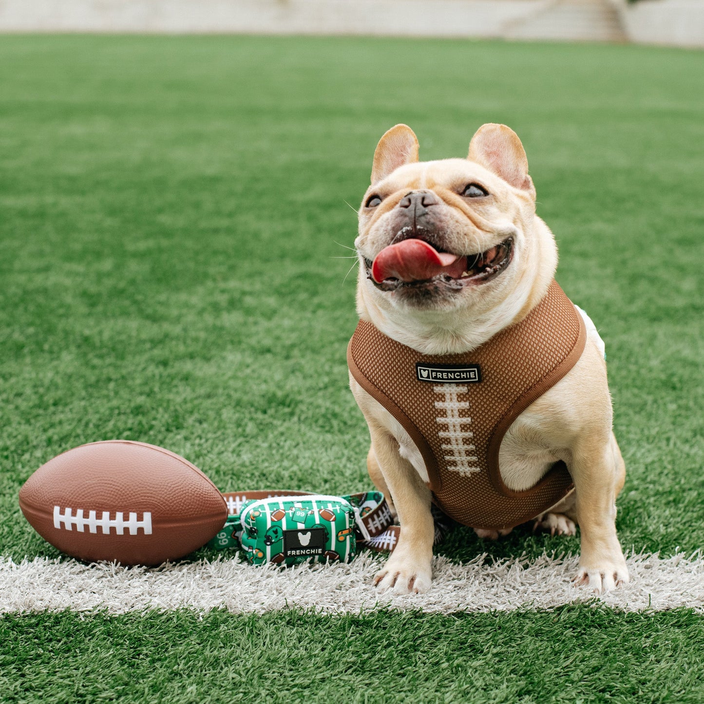 Frenchie Duo Reversible Harness - Touchdown