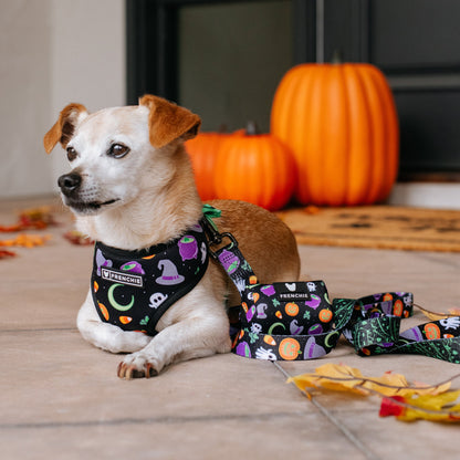 Frenchie Duo Reversible Harness - Witches Brew (Black)