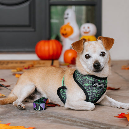 Frenchie Duo Reversible Harness - Witches Brew (Black)