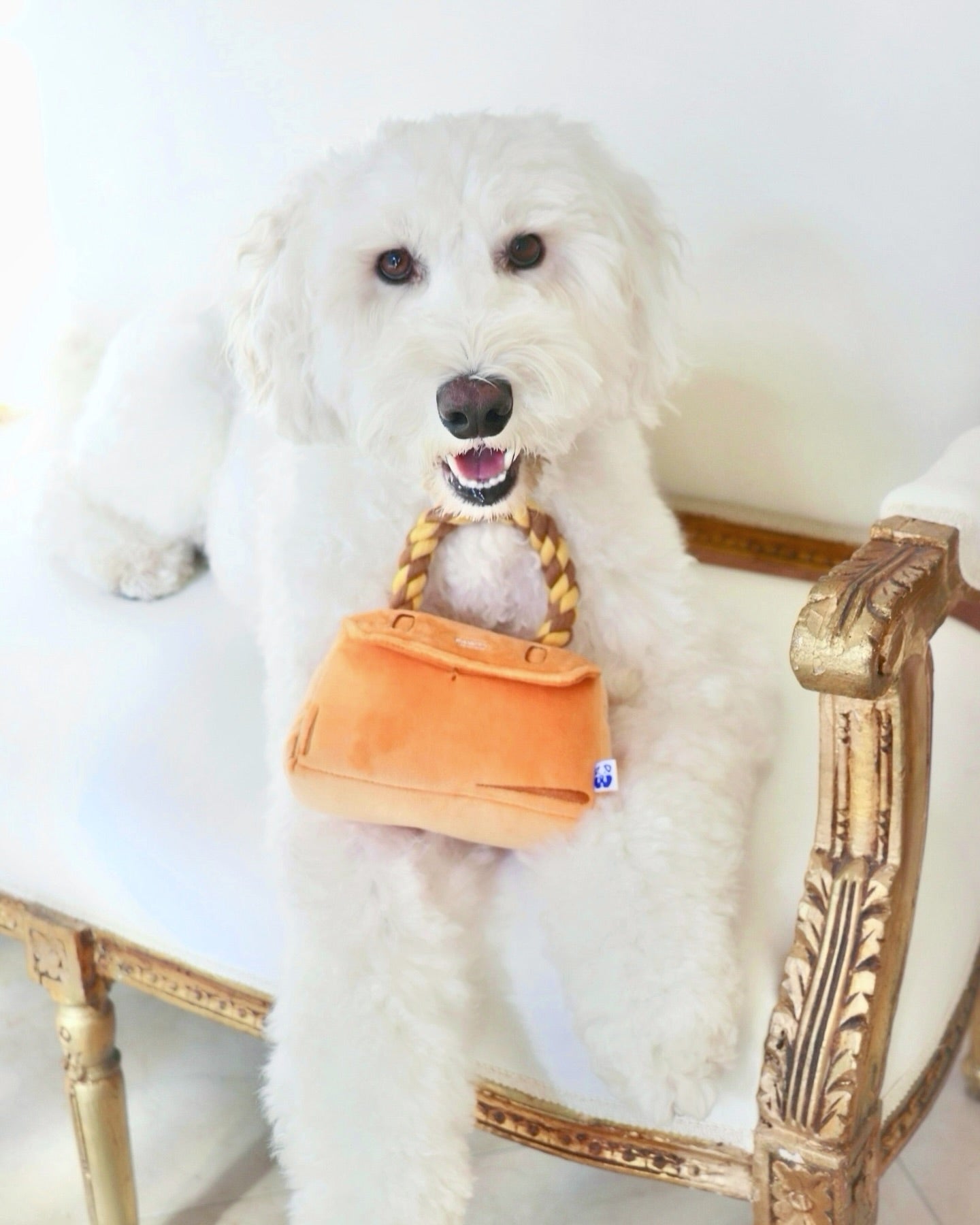 BARKIN BAG