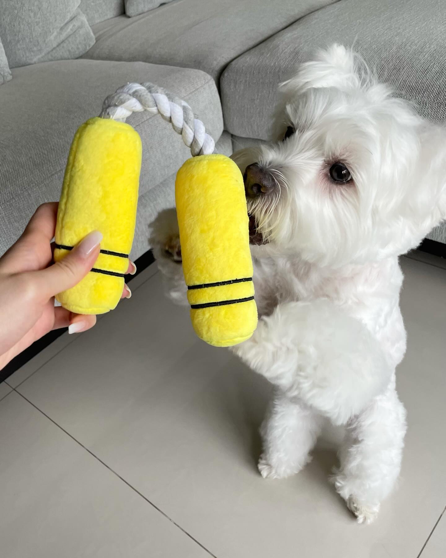 NUNCHUCKS TUG ROPE INTERACTIVE TOY