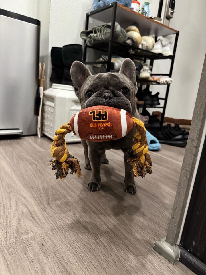 PAWTY FOOTBALL
