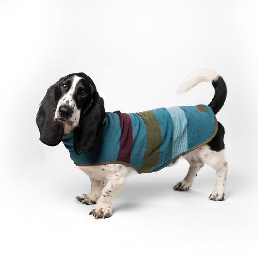 Pendleton Dog Vest