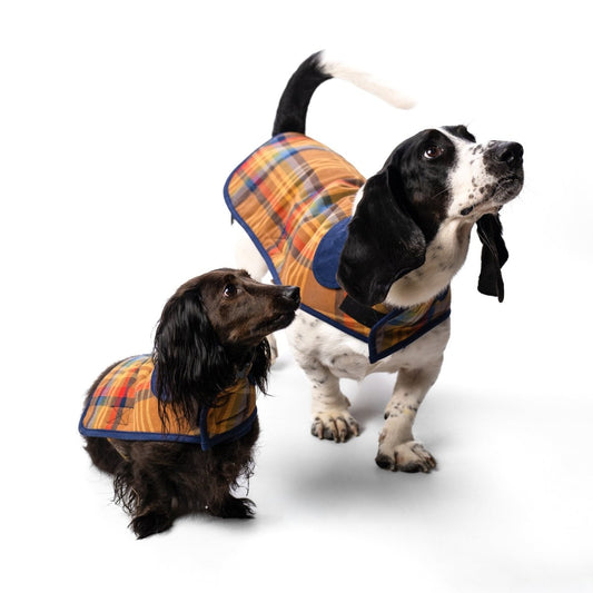 Pendleton Plaid Pet Coat