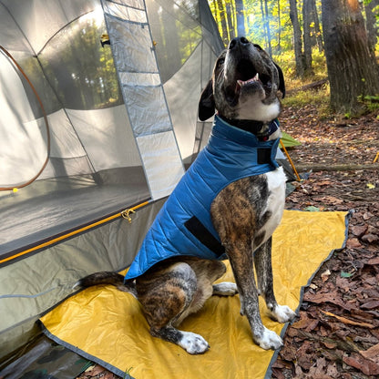 Pendleton Puffer Dog Coat