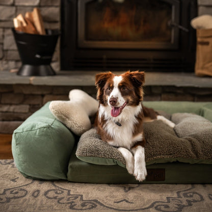 Rectangle Orthopedic Pet Couch