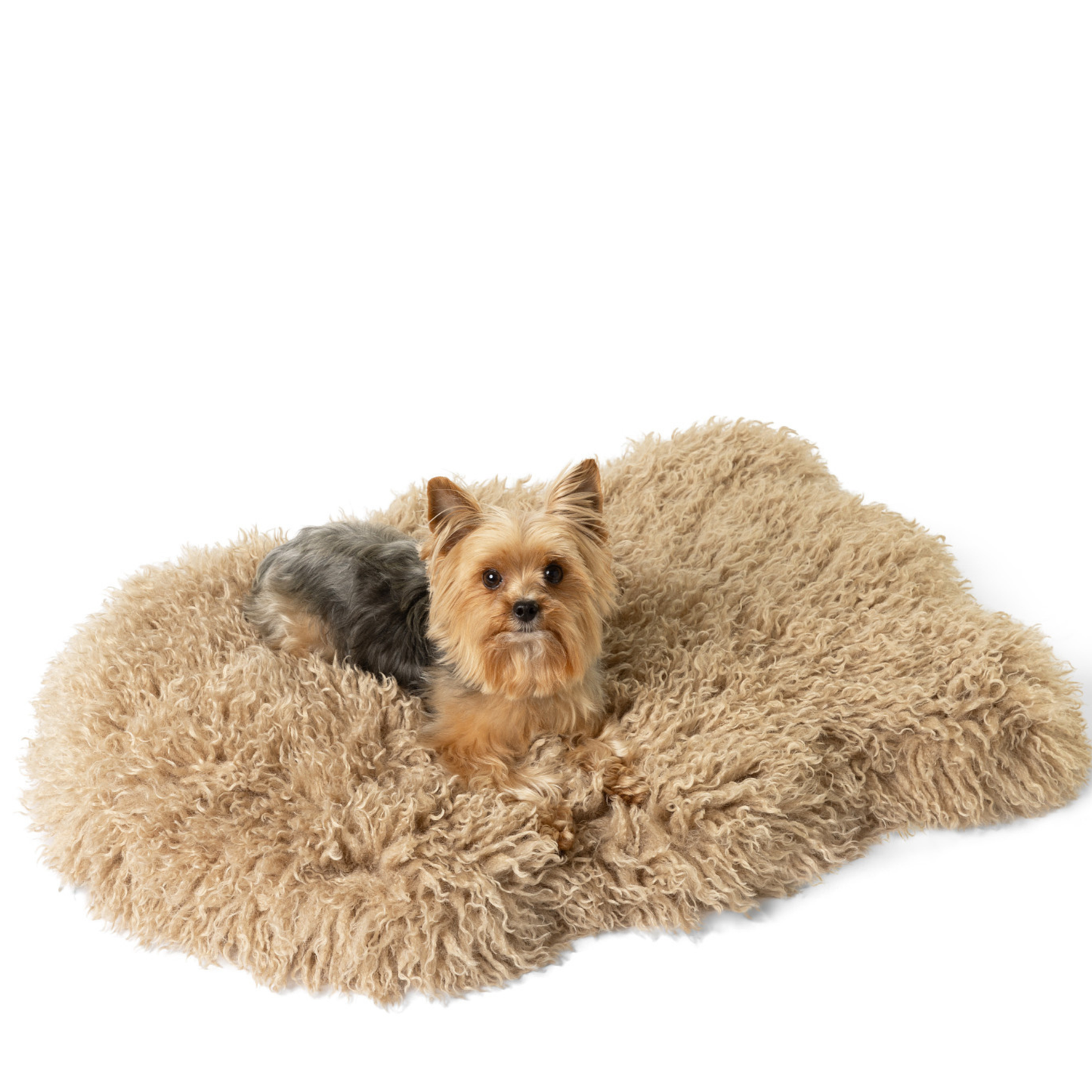 PupRug™ Luxe Faux Fur Orthopedic Dog Bed -  Plush Sheep Tan (Only the PupRug. PupProtector is sold separately)