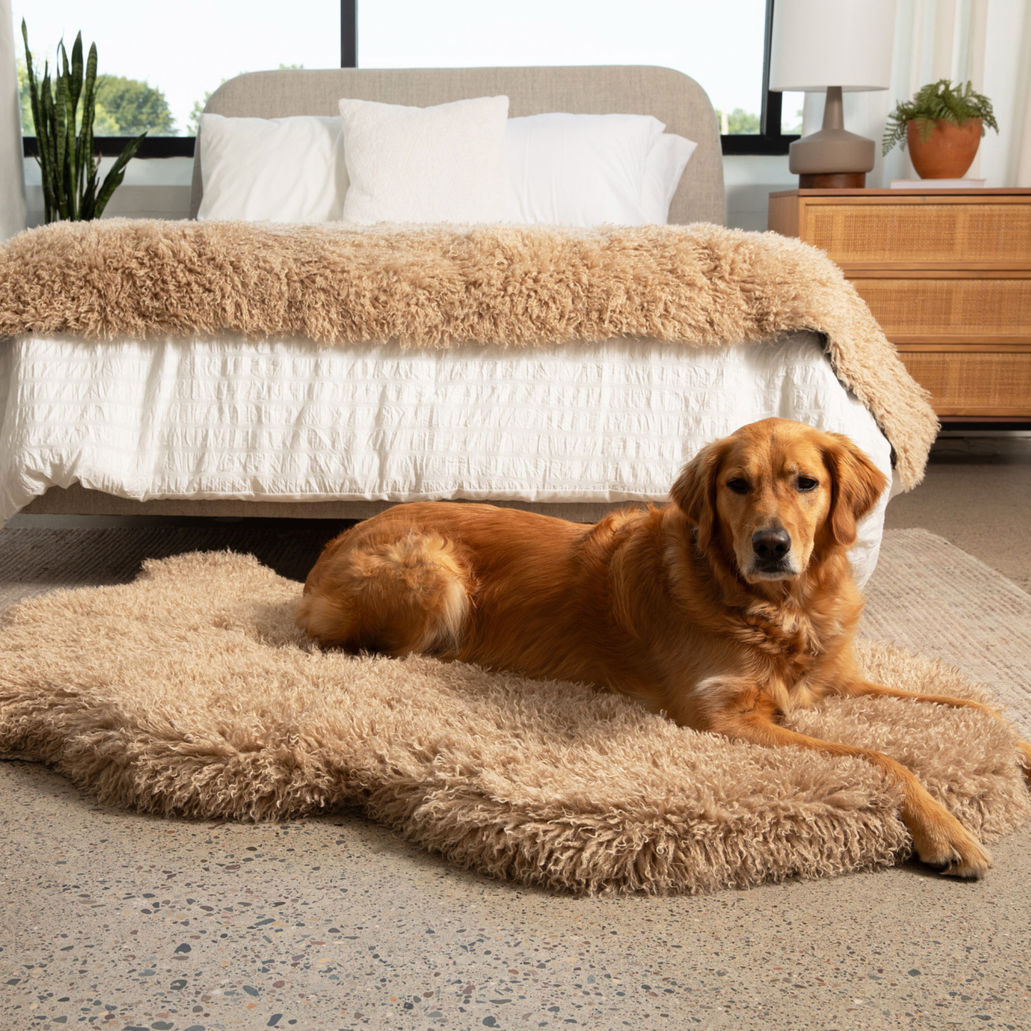 PupRug™ Luxe Faux Fur Orthopedic Dog Bed -  Plush Sheep Tan (Only the PupRug. PupProtector is sold separately)