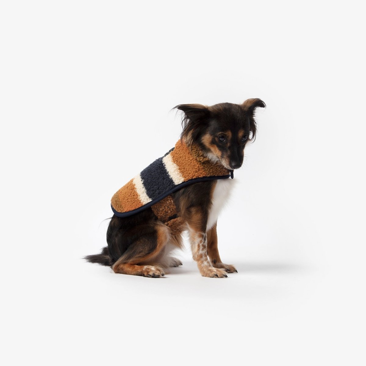 Shinola Brand Stripe Berber Dog Coat Rust