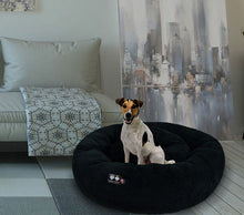 Snuggle Bed - Black (Sale - Add 2 Snuggle Beds of the same size to the CART, 1 will be FREE)
