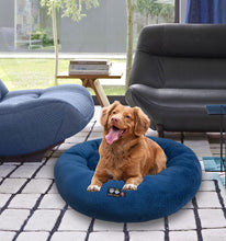 Snuggle Bed - Blue (Sale - Add 2 Snuggle Beds of the same size to the CART, 1 will be FREE)
